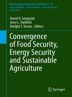 cover image of Convergence of Food Security, Energy Security and Sustainable Agriculture